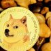 Dogecoin Rallies 50% To Beat Out Avalanche, BONK Overtakes PEPE