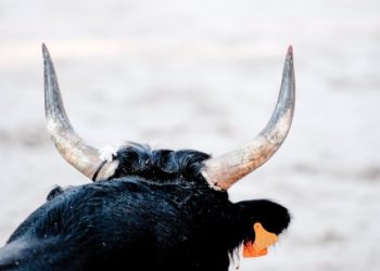 Ethereum Bulls Get Aggressive As Traders Set Sights on $4,000 Amid Market Frenzy