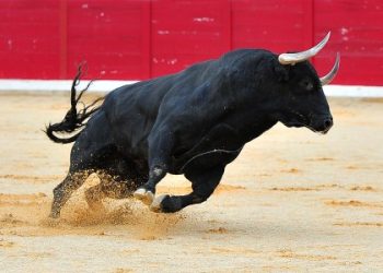 Tron Price Prediction: TRX Silently Grinds Higher, $0.18 Next?