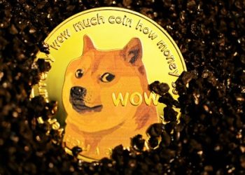 Dogecoin Out Of Fashion? Volume & Whale Activity Plunges