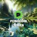 PondCoin Token (PNDC) Plunged. Should Investors Buy? 