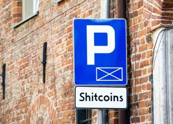 Top shitcoins – that you might consider buying 