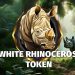 White Rhinoceros (WHRH) Price Skyrockets By 526.91% Today 