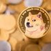 Dogecoin Holder Base Reaches New Record Amid Surge In Interest