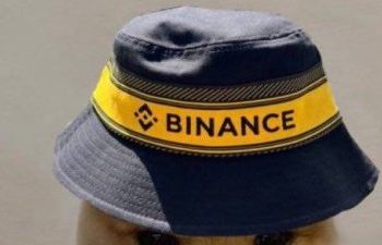 Binance WIF Hat: Dogwifhat Listing Announcement Skyrockets Price 25% To New ATH