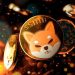 Shiba Inu Whales Are Accumulating SHIB, Do They Know Something You Don’t?