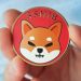 Shiba Inu Blasts Into Top 10 Crypto Following 175% Price Surge