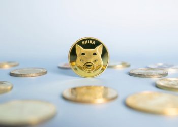 Will Shiba Inu coins reach $1?