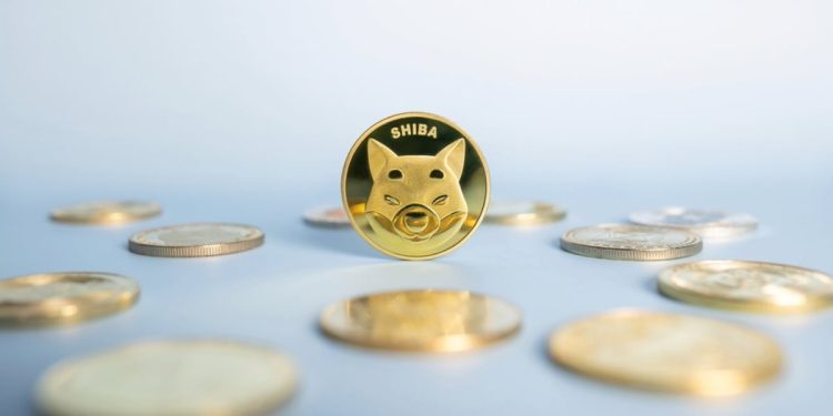 Will Shiba Inu coins reach $1?