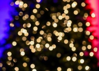 Analyst Bullish On Polkadot (DOT), Predicts $17 Price Target Before April