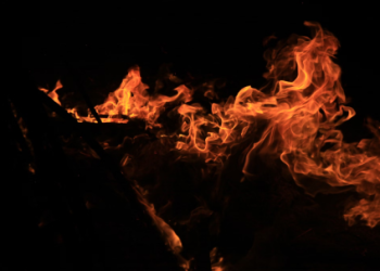 Shiba Inu Mania: Price Surges 60% As Burn Rate Heats Up Over 22,000%