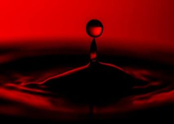 Crypto Carnage: Over $800 Million Wiped Out In Market Plunge