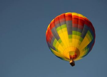 Shiba Inu Just Ballooned To 124% – What’s Pushing The Price Up?