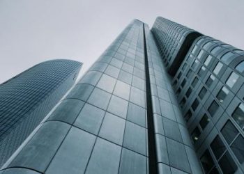 Zooming NEAR: Solid 75% Growth Sparks Crypto Frenzy