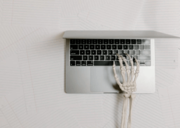 Shiba Inu Ecosystem Blooms: BONE Jumps 44% With $3 Target In Sight