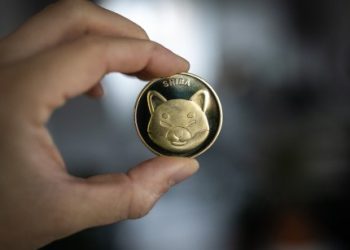 Shiba Inu Climbs To Second Spot In Crypto Searches As SHIB Rallies