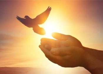 LINK Price Regains Strength, Why Chainlink Could Surge Over 10%