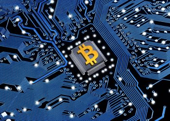 Blue Chip Crypto: Examples and Their Role in Crypto Word