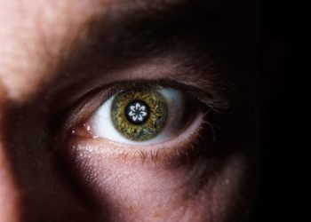 Spain Blocks Worldcoin Project Over Data Privacy Concerns, WLD Token Slides 7%