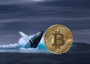 Bitcoin Whales Maintain Positive Accumulation Behavior Ahead Of 2024 Halving: Report