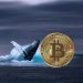 Bitcoin Whales Maintain Positive Accumulation Behavior Ahead Of 2024 Halving: Report