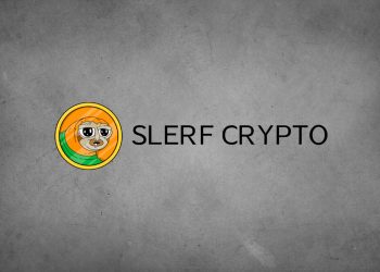 Slerf Crypto: What Do You Need to Know About This Token