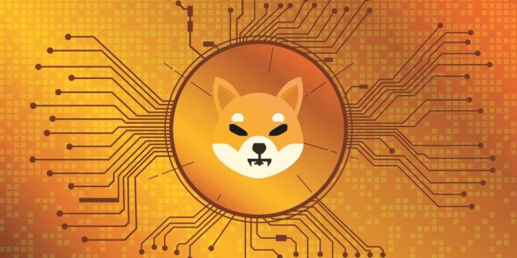 Shiba Inu Rises Five Percent: A Market Uplift Story