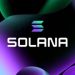 Solana Whales Are Making Moves – Here’s The Direction They’re Headed In