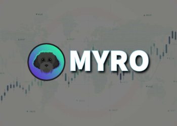 Myro Coin: What You Need to Know Before You Invest In It