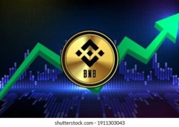 BNB Resilience: Holding Firm At $560 – What’s Next?