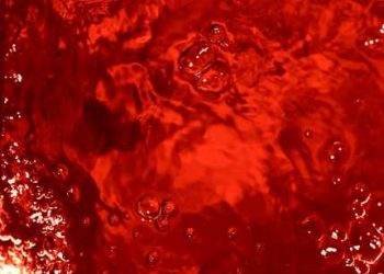 Is The Bitcoin Bloodbath Over? Analysts Say $60,000 Is The Cycle’s Bottom