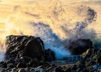 Solana Meme Coin Massacre: 12 Projects Gone In 30 Days, $27 Million Vanished