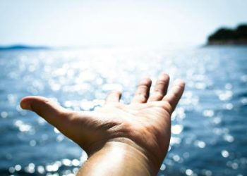 Polkadot Shines – Is Now The Time To Buy DOT Before $10?