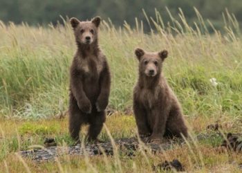 Bitcoin Bears Beware: $3 Billion Short Liquidation Looms At This Price Mark, Warns Analyst