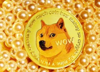 Traders Not Showing Dogecoin FOMO, Good Sign For Rally?