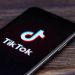 Historic Senate Decision to Restrict TikTok Under $95B Plan
