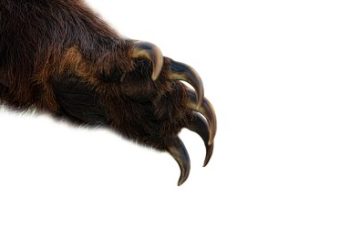 Bitcoin Forms Death Cross & TD-9 Sell Signal: Brace For Impact?