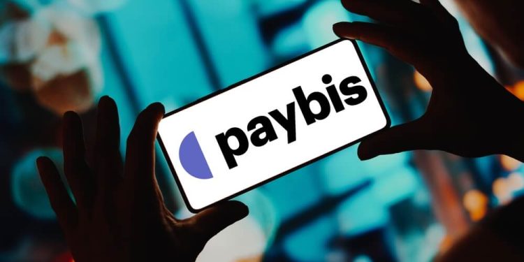 PAYBIS Crypto Wallet: Why is it Best to Choose Paybis?