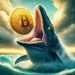Bitcoin Whales Spend $6.3 Billion In One Day As Historic BTC Buy Signal Appears