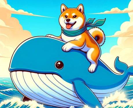 Dogecoin Whales On The Move: Transactions Surge More Than 50% Amid ETF Speculation