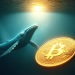 Whales Push Bitcoin Into Narrow Consolidation Range: What To Expect Next