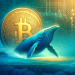 Bitcoin Whale Indicator Flashes Signal Last Seen Before 480% Surge In Mid-2020