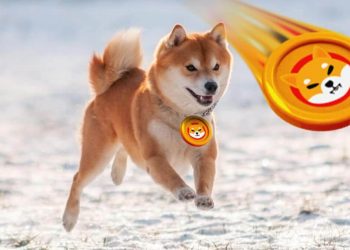 Dogecoin and Shiba Inu: Dogecoin bounced back to EMA200