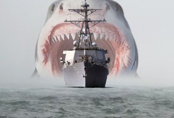 Did A Dogecoin Whale Just Sink The DOGE Ship? The $30-Million Transfer Mystery