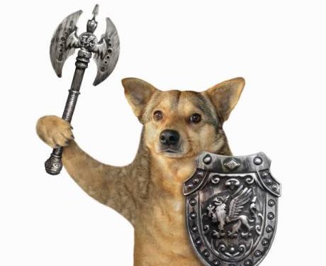 Floki Floats 22% On Marketing Blitz, Aims For ‘World’s Most Used Crypto’ Title