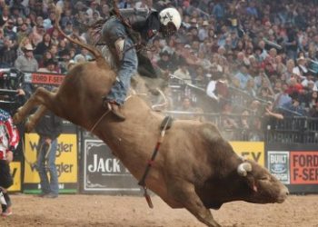 Crypto Alert: VeChain Bull Run Imminent, Expert Predicts 500% Rally