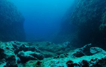 Whispers In The Deep: Why Are Ethereum Whales Disappearing?