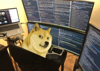 Unlocking The Dogecoin Code: One Factor Holds The Key To Its Next Ascent