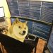 Unlocking The Dogecoin Code: One Factor Holds The Key To Its Next Ascent