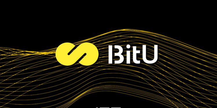 BitU Protocol ICO: Innovating Stability with $BITU in 2024